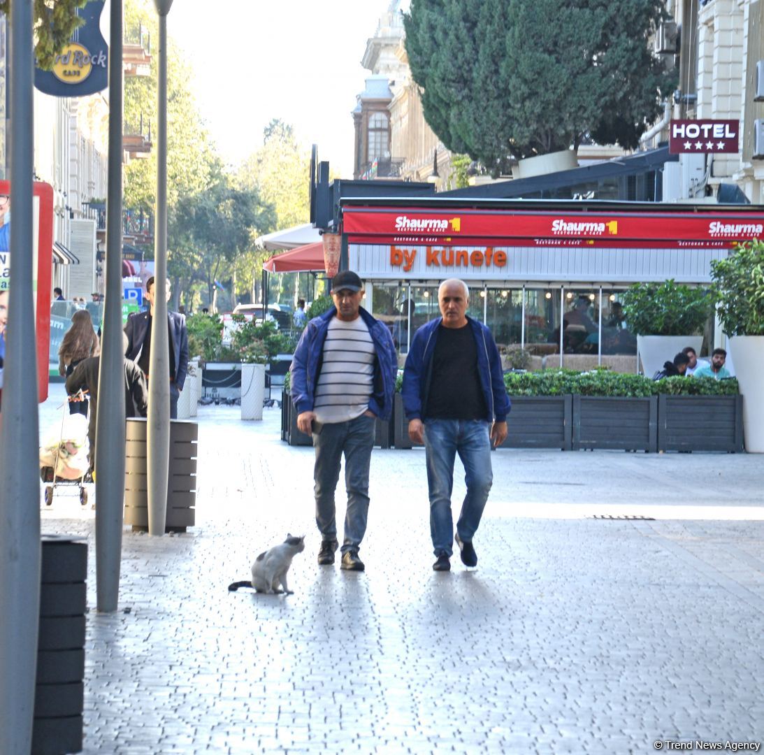 Bakının mərkəzi hissəsinin siması hesab edilən Fəvvarələr meydanından FOTOREPORTAJ