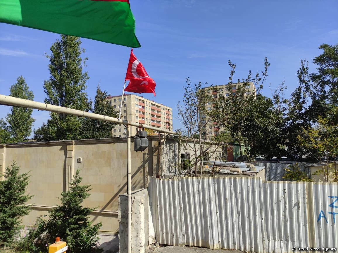 Nəbatat Bağında ağaclar quruyub - Direktor (FOTO)