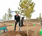 Prezident İlham Əliyev və birinci xanım Mehriban Əliyeva Füzulidə yaradılacaq Mərkəzi Şəhər Parkında ağac əkiblər (YENİLƏNİB) (FOTO)