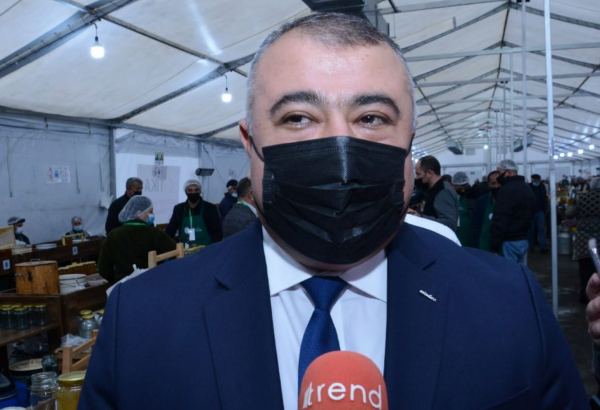 Pandemiya arıçılara mənfi təsir edib - Nazirlik rəsmisi