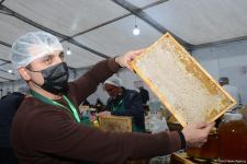 Bakıdakı bal yarmarkası noyabrın 7-dək davam edəcək (FOTO) (ƏLAVƏ OLUNUB)