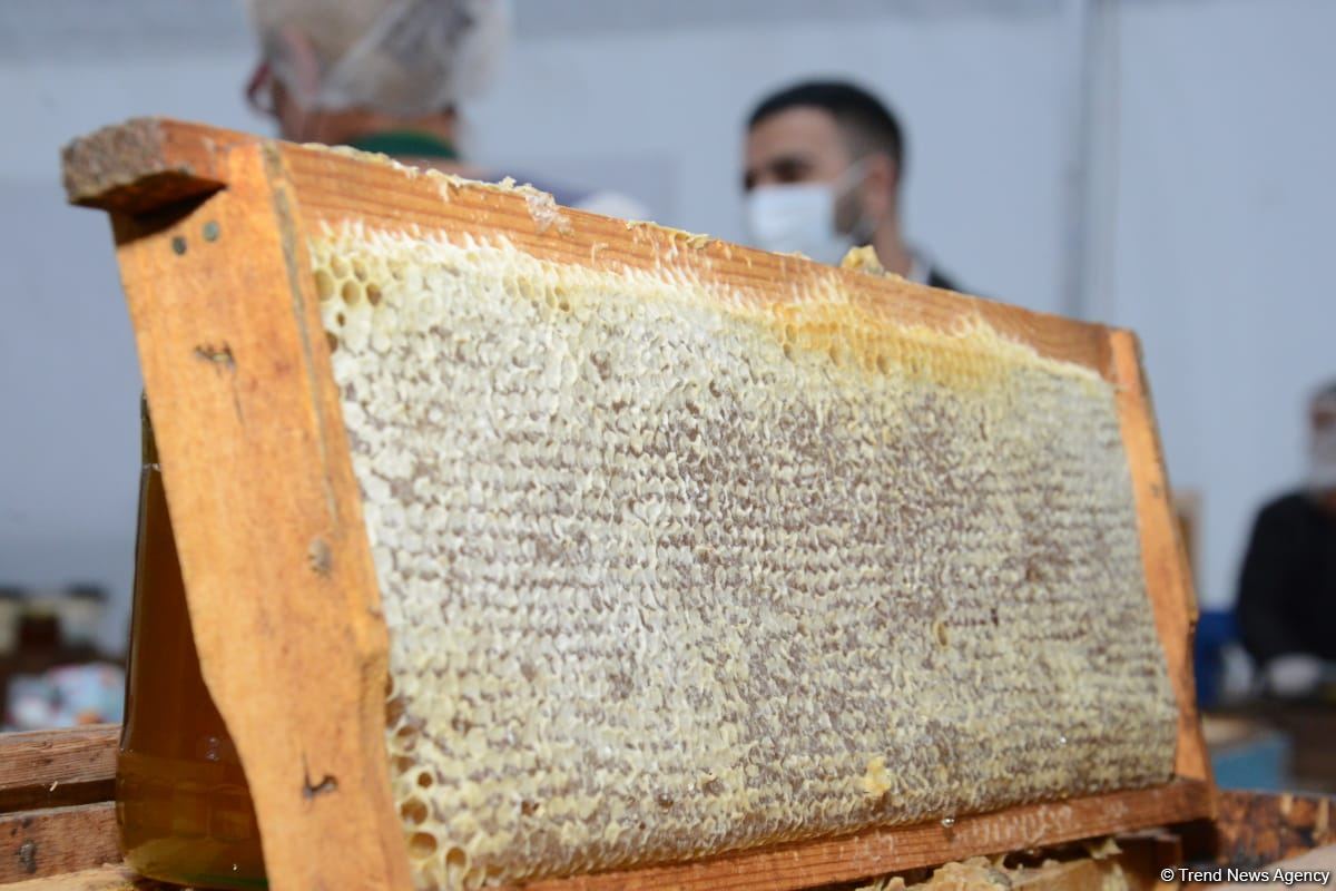 Bakıdakı bal yarmarkası noyabrın 7-dək davam edəcək (FOTO) (ƏLAVƏ OLUNUB)