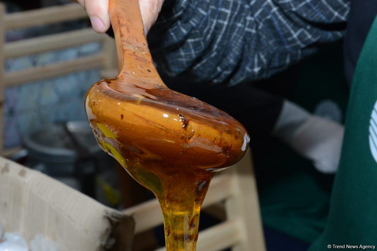 Bakıdakı bal yarmarkası noyabrın 7-dək davam edəcək (FOTO) (ƏLAVƏ OLUNUB)
