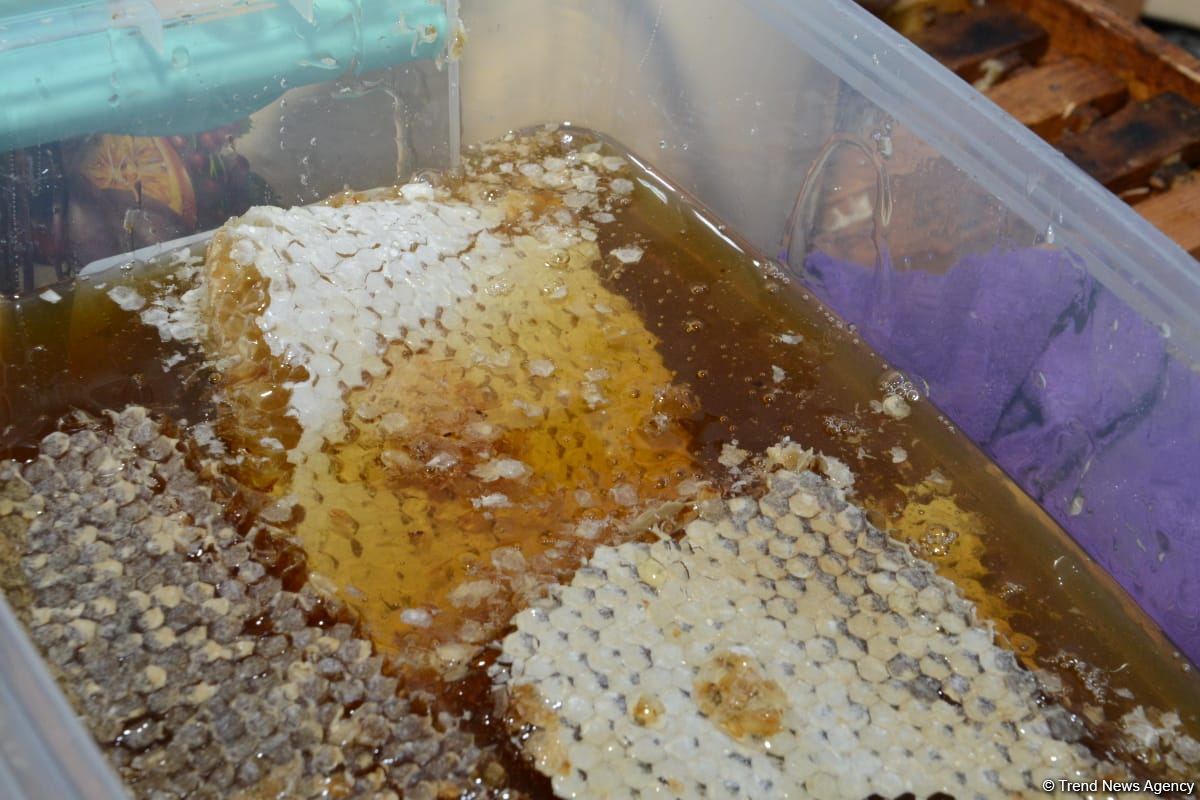 Bakıdakı bal yarmarkası noyabrın 7-dək davam edəcək (FOTO) (ƏLAVƏ OLUNUB)