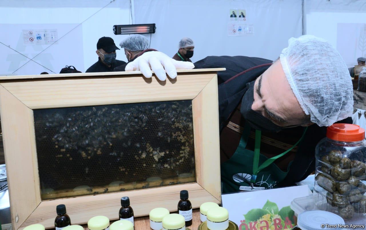 Bakıdakı bal yarmarkası noyabrın 7-dək davam edəcək (FOTO) (ƏLAVƏ OLUNUB)