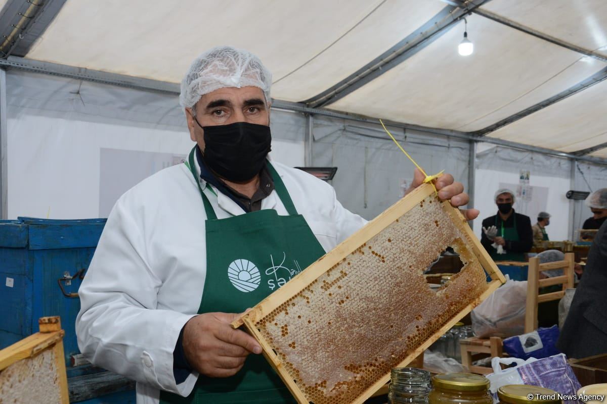 Bakıdakı bal yarmarkası noyabrın 7-dək davam edəcək (FOTO) (ƏLAVƏ OLUNUB)
