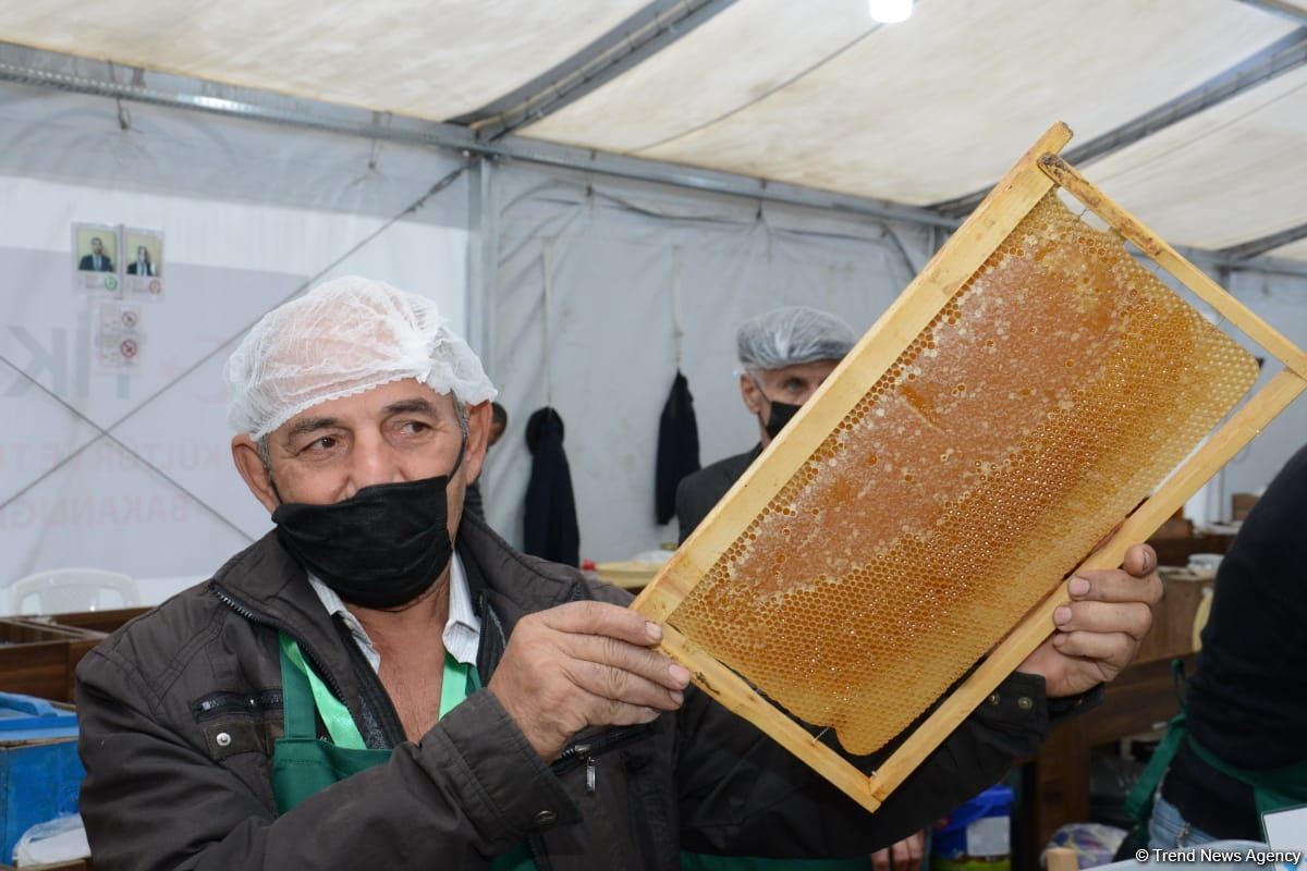 Bakıdakı bal yarmarkası noyabrın 7-dək davam edəcək (FOTO) (ƏLAVƏ OLUNUB)