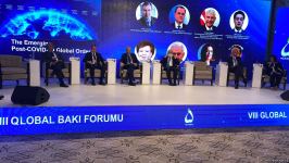 VIII Qlobal Bakı Forumu çərçivəsində panel müzakirələr başlayıb (FOTO)