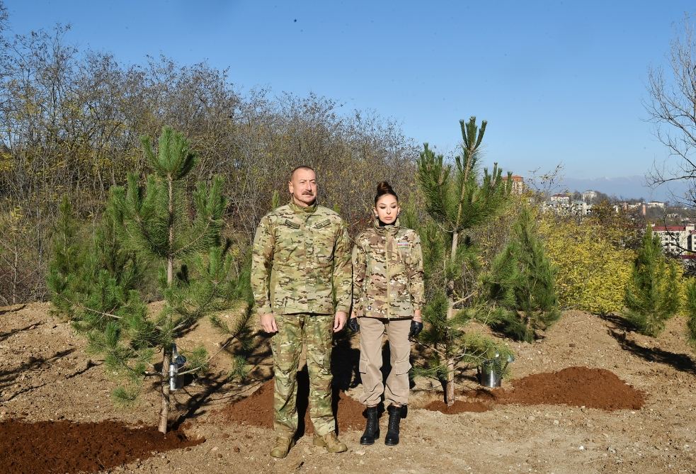Prezident İlham Əliyev və birinci xanım Mehriban Əliyeva Cıdır düzündə ağac əkiblər, Şuşada Topxana meşəsinin bərpasına start verilib (FOTO/VİDEO)