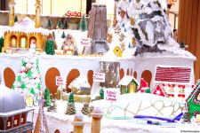 Karabakh – Winter Wonderland: “NARGIS” nəşriyyat evinin yeni sərgisinin açılışı olub (FOTO)