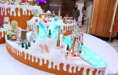 Karabakh – Winter Wonderland: “NARGIS” nəşriyyat evinin yeni sərgisinin açılışı olub (FOTO)