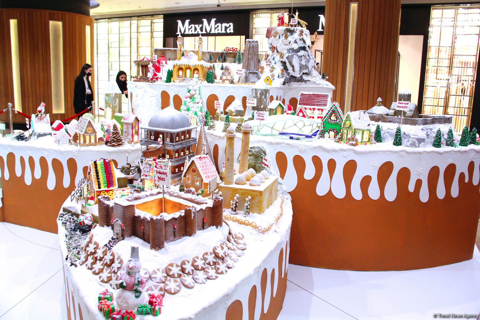 Karabakh – Winter Wonderland: “NARGIS” nəşriyyat evinin yeni sərgisinin açılışı olub (FOTO)