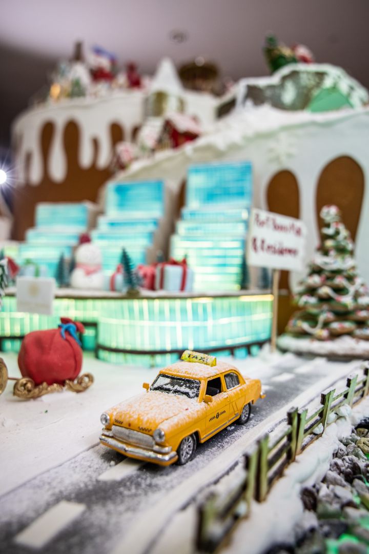 “Port Baku Mall”da Vətən müharibəsindəki qələbəyə həsr edilən “Karabakh – Winter Wonderland” adlı nəfis instalyasiya sərgisi keçirilir (FOTO/VİDEO)