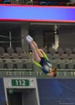 Bakıda Batut Gimnastikası və Tamblinq üzrə 35-ci Dünya Çempionatının birinci günü start götürüb (FOTO)