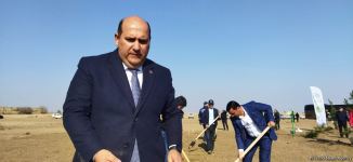Ağdamda meşə massivi salınıb (FOTO)