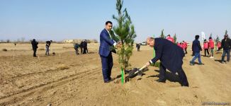Ağdamda meşə massivi salınıb (FOTO)