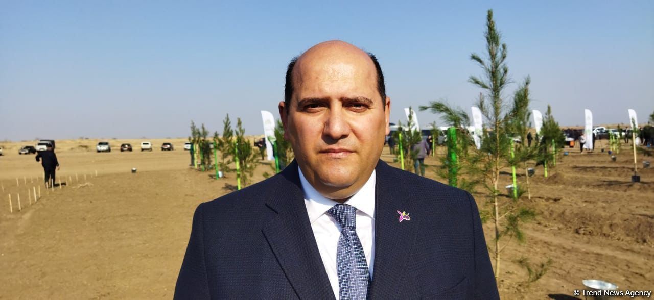 Ağdamda meşə massivi salınıb (FOTO)