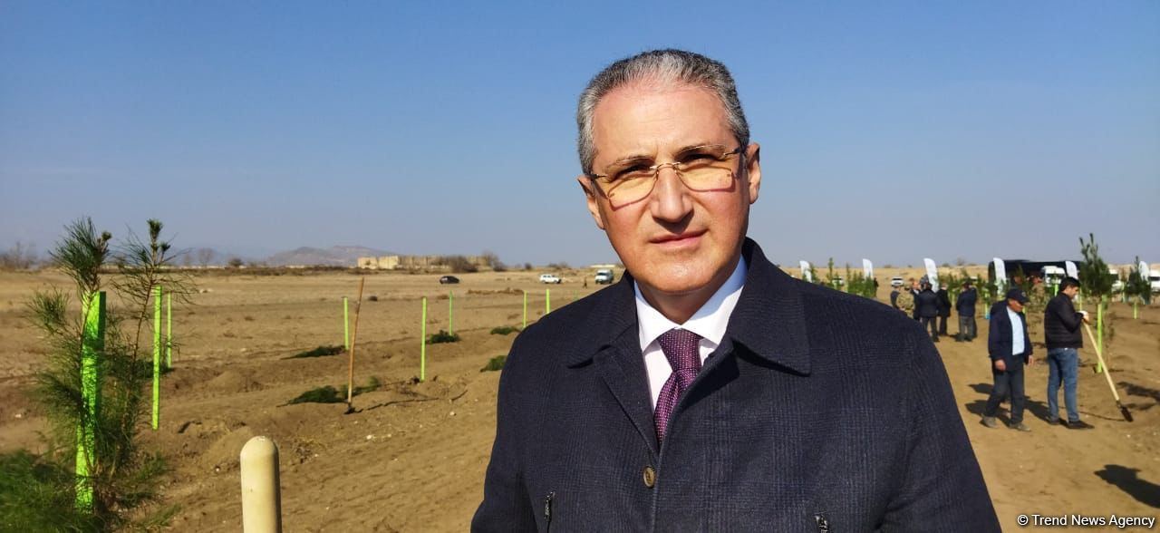 Ağdamda meşə massivi salınıb (FOTO)