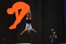 Azərbaycan gimnastı Mixail Malkin Bakıda keçirilən DÇ-nin finalında çıxış edib (FOTO)