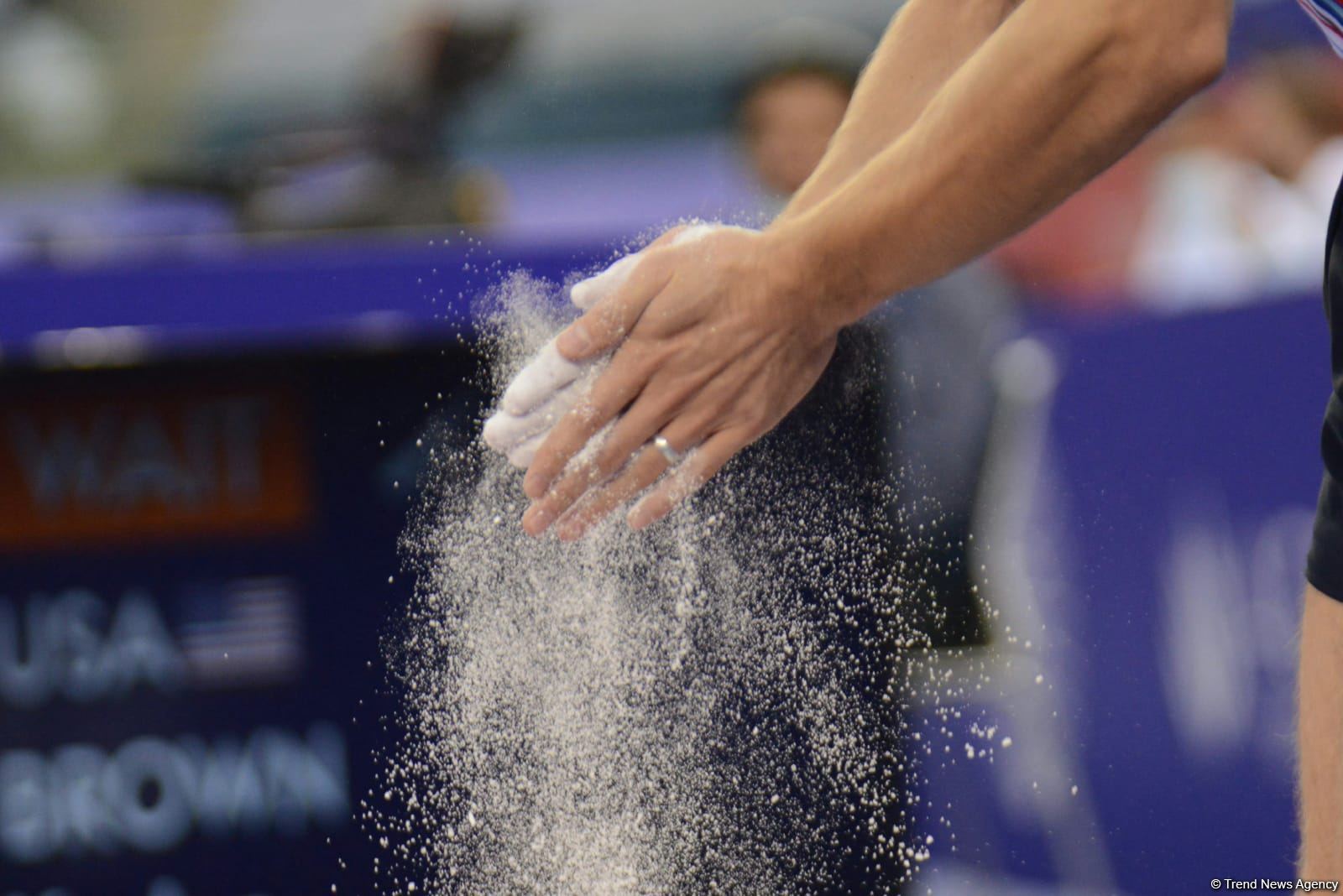 Azərbaycan gimnastı Mixail Malkin Bakıda keçirilən DÇ-nin finalında çıxış edib (FOTO)
