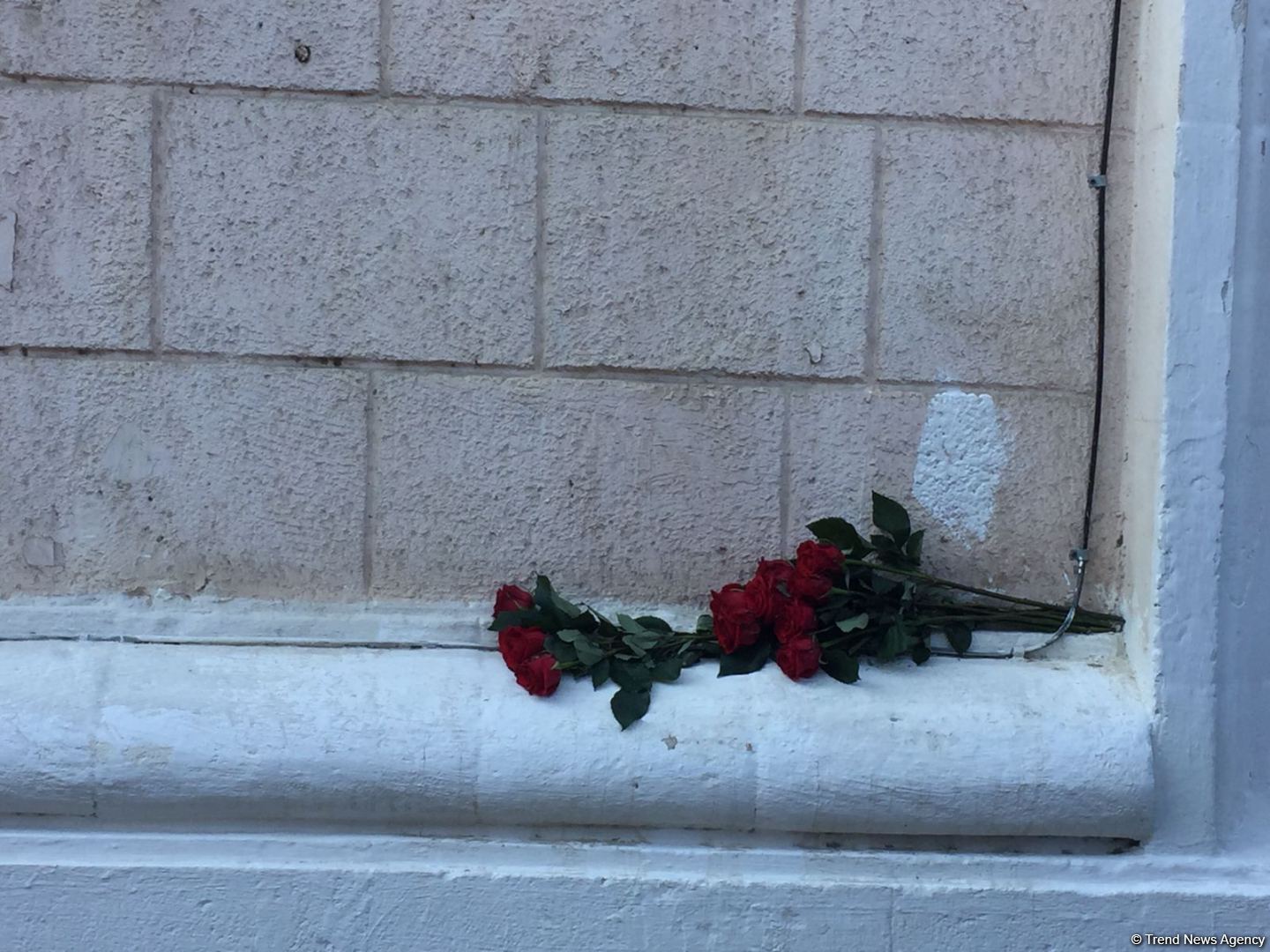 Vətən müharibəsi şəhidinin barelyefinin açılış mərasimi keçirilib (FOTO)
