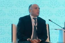 Nizami Gəncəvi Beynəlxalq Forumu işə başlayıb (FOTO)