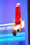 Bakıda batut gimnastikası və tamblinq üzrə Dünya Yaş Qrupu Yarışları davam edir (FOTO)