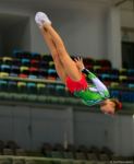 Bakıda batut gimnastikası və tamblinq üzrə Dünya Yaş Qrupu Yarışları davam edir (FOTO)