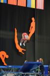 Bakıda batut gimnastikası və tamblinq üzrə 28-ci Dünya Yaş Qrupu Yarışlarının final gününə start verilib (FOTO)