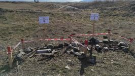 FHN minalarla bağlı vətəndaşlara çağırış edib (FOTO/VİDEO)
