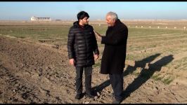 Azad edilmiş ərazilərdə "Şuşa", "Yaşma", "Zəfər" buğda sortlarının əkini aparılıb - Trend TV-nin Tərtərdən reportajı
