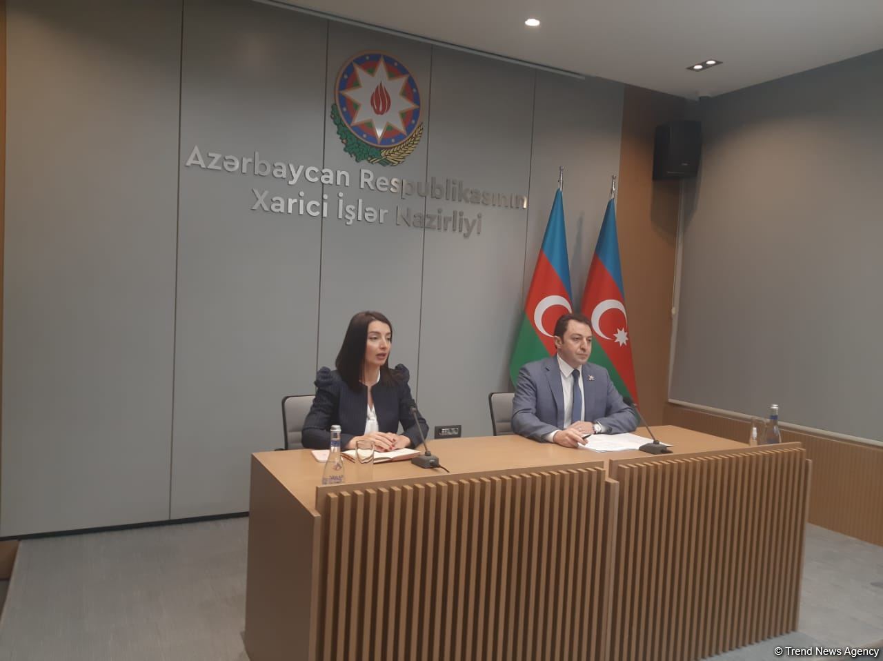 Xarici işlər nazirinin müavini Elnur Məmmədov brifinq keçirib (FOTO/VİDEO)
