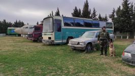 Azad olunan ərazilərin minalardan təmizlənməsinə xüsusi təlim keçmiş itlər cəlb olunub (FOTO/VİDEO)