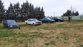 Azad olunan ərazilərin minalardan təmizlənməsinə xüsusi təlim keçmiş itlər cəlb olunub (FOTO/VİDEO)