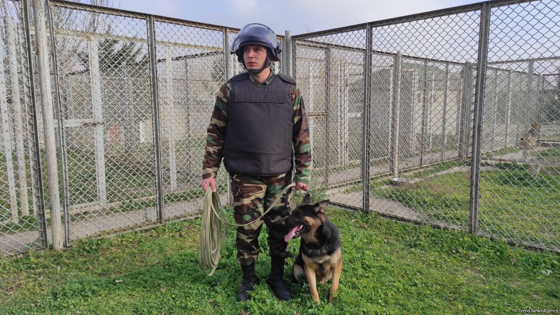 Azad olunan ərazilərin minalardan təmizlənməsinə xüsusi təlim keçmiş itlər cəlb olunub (FOTO/VİDEO)