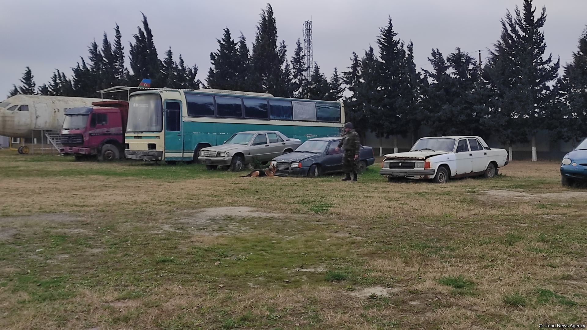 Azad olunan ərazilərin minalardan təmizlənməsinə xüsusi təlim keçmiş itlər cəlb olunub (FOTO/VİDEO)