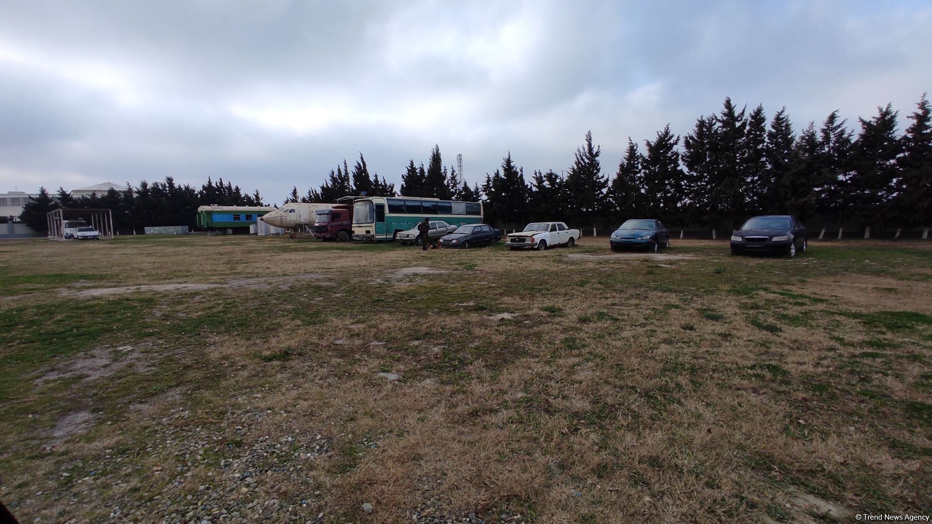 Azad olunan ərazilərin minalardan təmizlənməsinə xüsusi təlim keçmiş itlər cəlb olunub (FOTO/VİDEO)