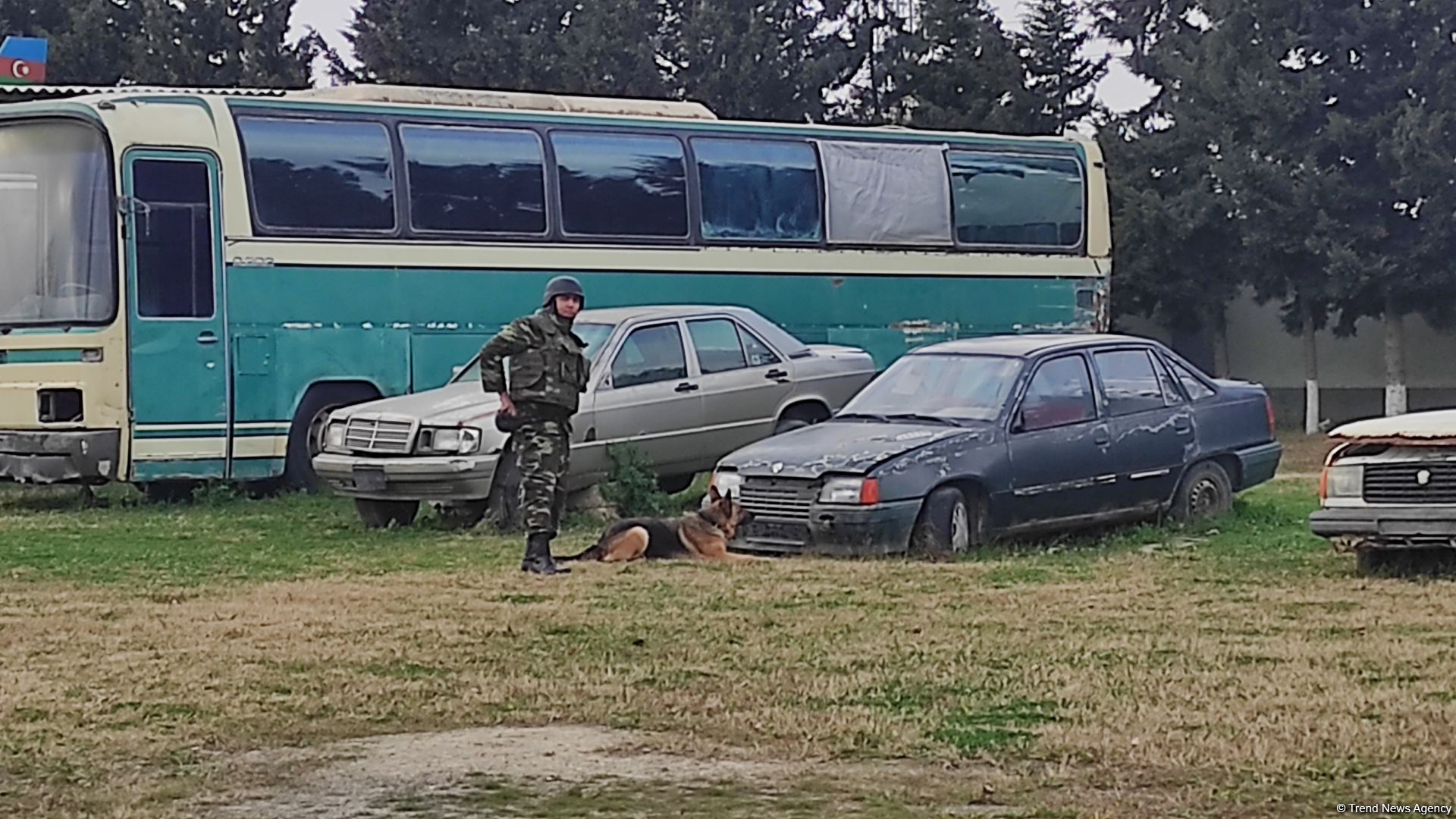 Azad olunan ərazilərin minalardan təmizlənməsinə xüsusi təlim keçmiş itlər cəlb olunub (FOTO/VİDEO)