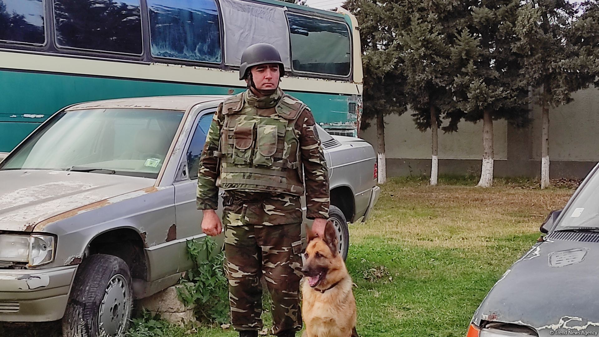 Azad olunan ərazilərin minalardan təmizlənməsinə xüsusi təlim keçmiş itlər cəlb olunub (FOTO/VİDEO)