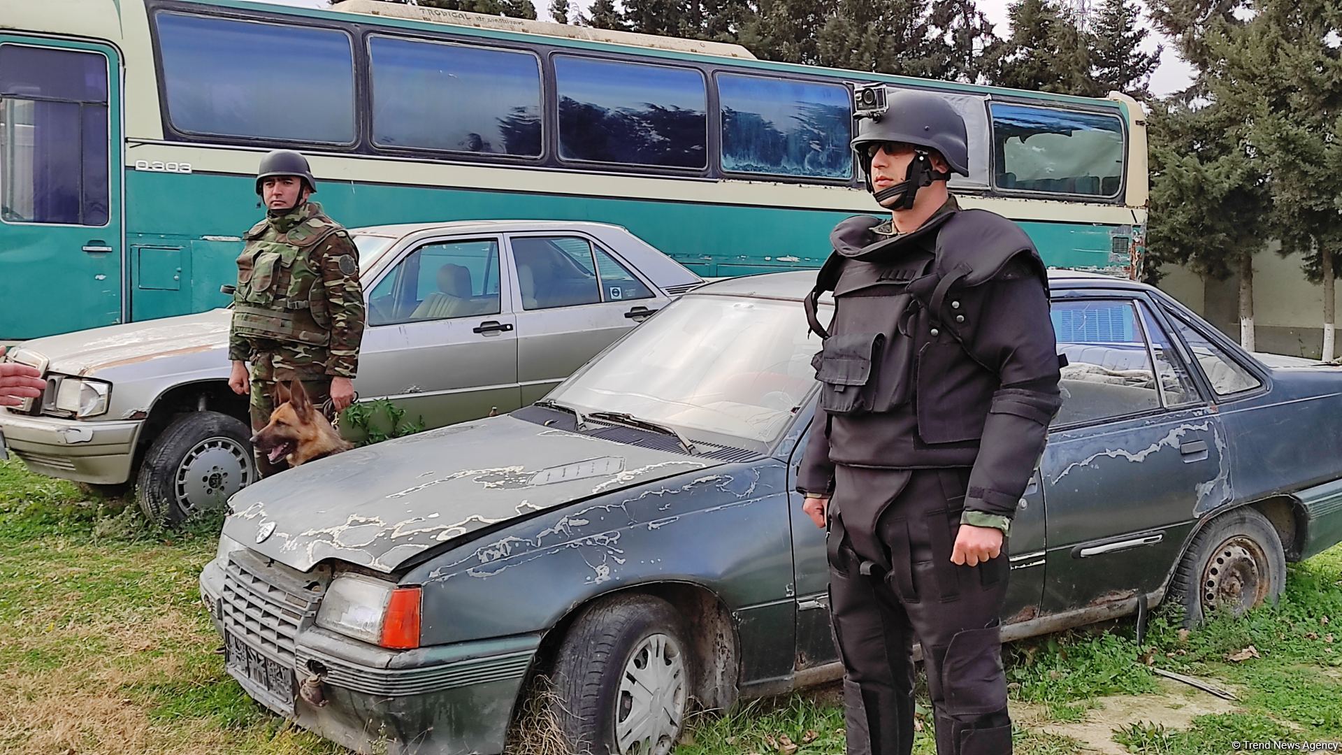 Azad olunan ərazilərin minalardan təmizlənməsinə xüsusi təlim keçmiş itlər cəlb olunub (FOTO/VİDEO)