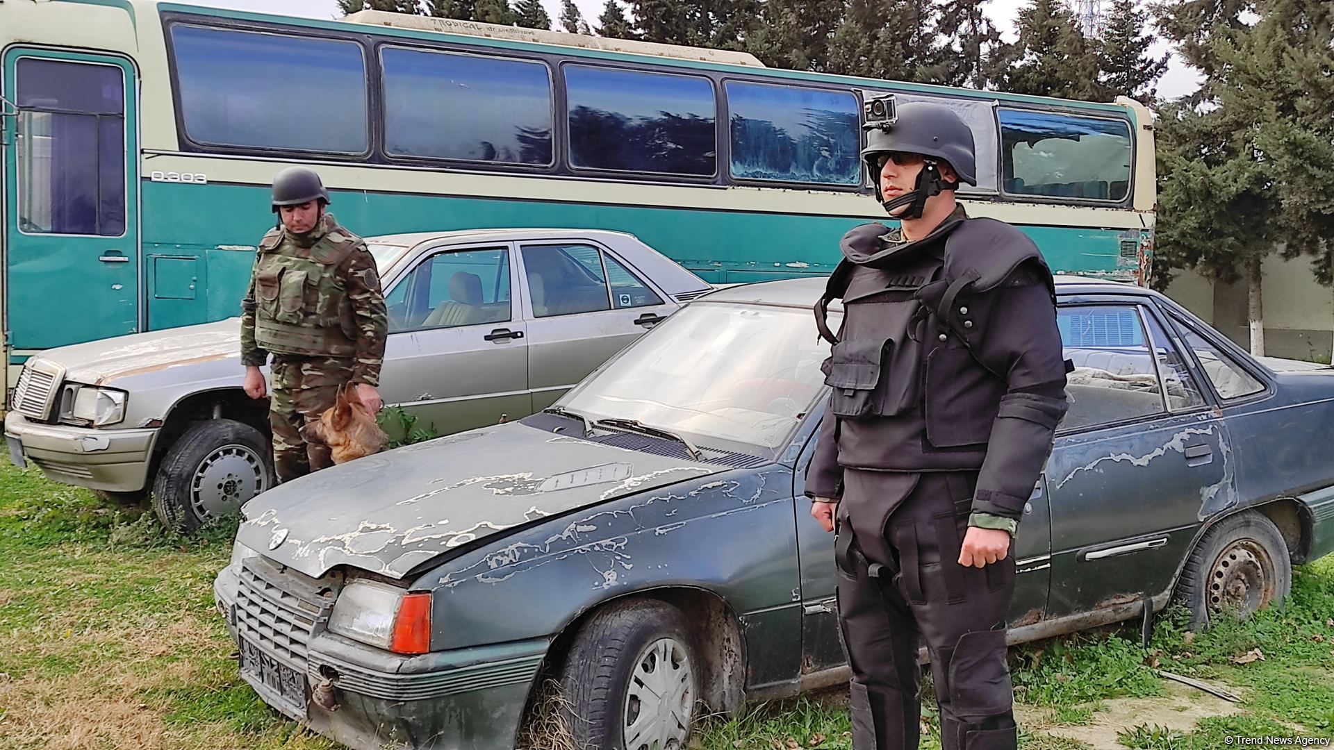 Azad olunan ərazilərin minalardan təmizlənməsinə xüsusi təlim keçmiş itlər cəlb olunub (FOTO/VİDEO)