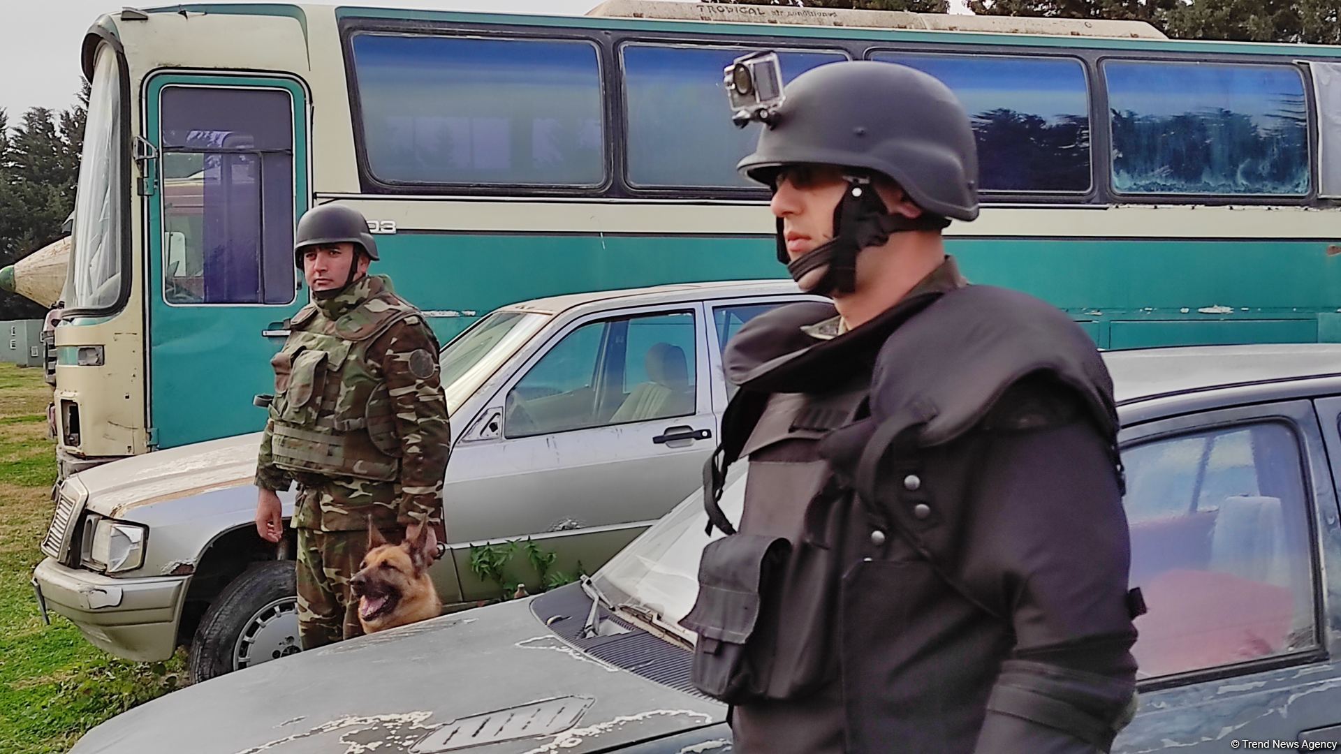 Azad olunan ərazilərin minalardan təmizlənməsinə xüsusi təlim keçmiş itlər cəlb olunub (FOTO/VİDEO)