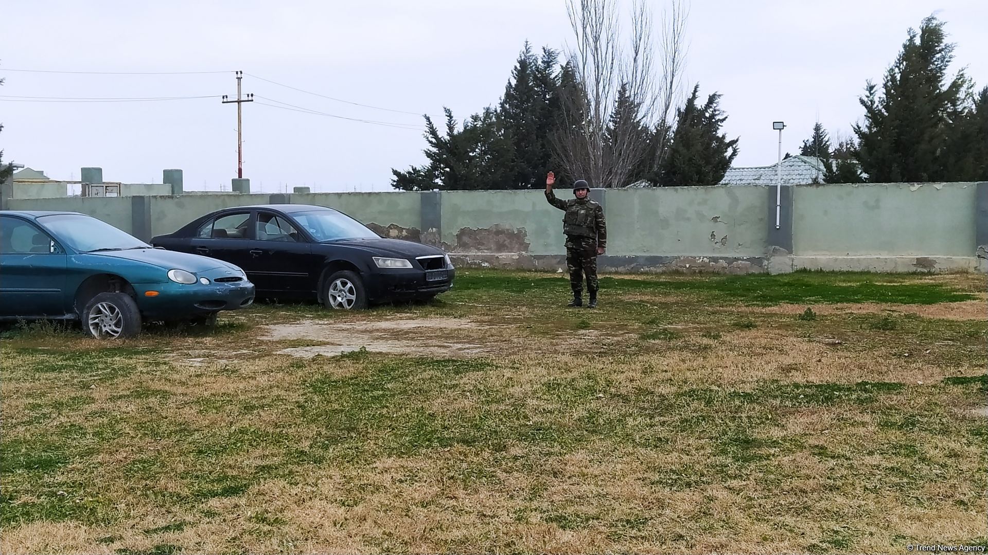 Azad olunan ərazilərin minalardan təmizlənməsinə xüsusi təlim keçmiş itlər cəlb olunub (FOTO/VİDEO)