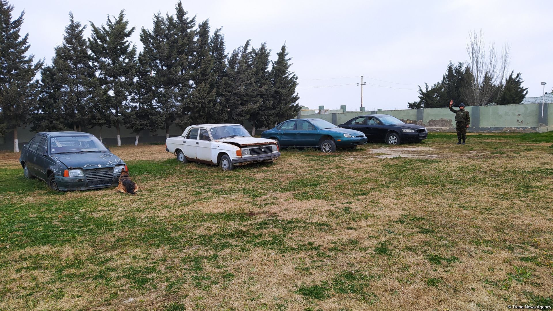 Azad olunan ərazilərin minalardan təmizlənməsinə xüsusi təlim keçmiş itlər cəlb olunub (FOTO/VİDEO)