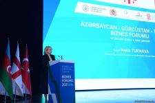 Azərbaycan-Türkiyə-Gürcüstan biznes forumu keçirilib (FOTO)