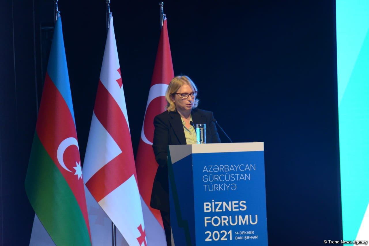 Azərbaycan-Türkiyə-Gürcüstan biznes forumu keçirilib (FOTO)