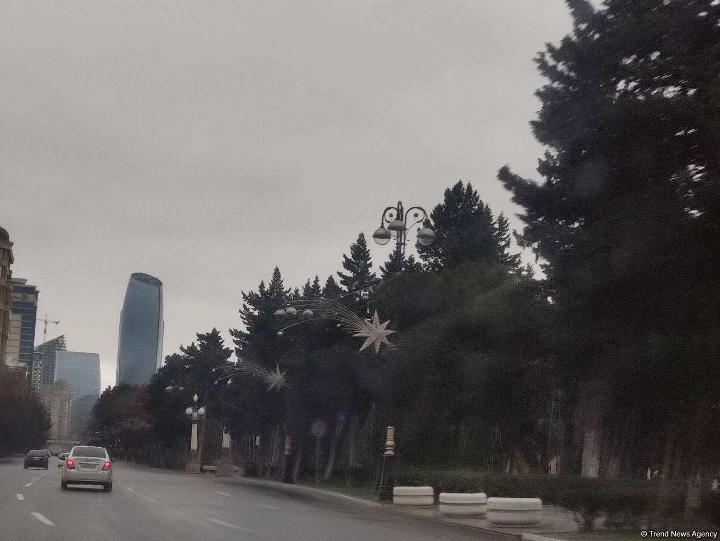 Bakıda Yeni il yolkalarının qurulmasına başlanılıb (FOTO)