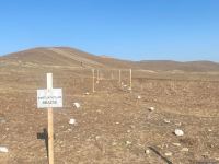 Horadiz-Ağbənd yolunun 190 hektarı mina və PHS-lərdən tam təmizlənib (FOTO)