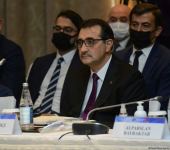Bakıda Azərbaycan-Türkiyə Enerji Forumu keçirilib (FOTO) (ƏLAVƏ OLUNUB)