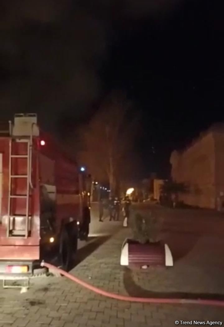 Bərdədə Yeni il yolkası yanıb (FOTO)